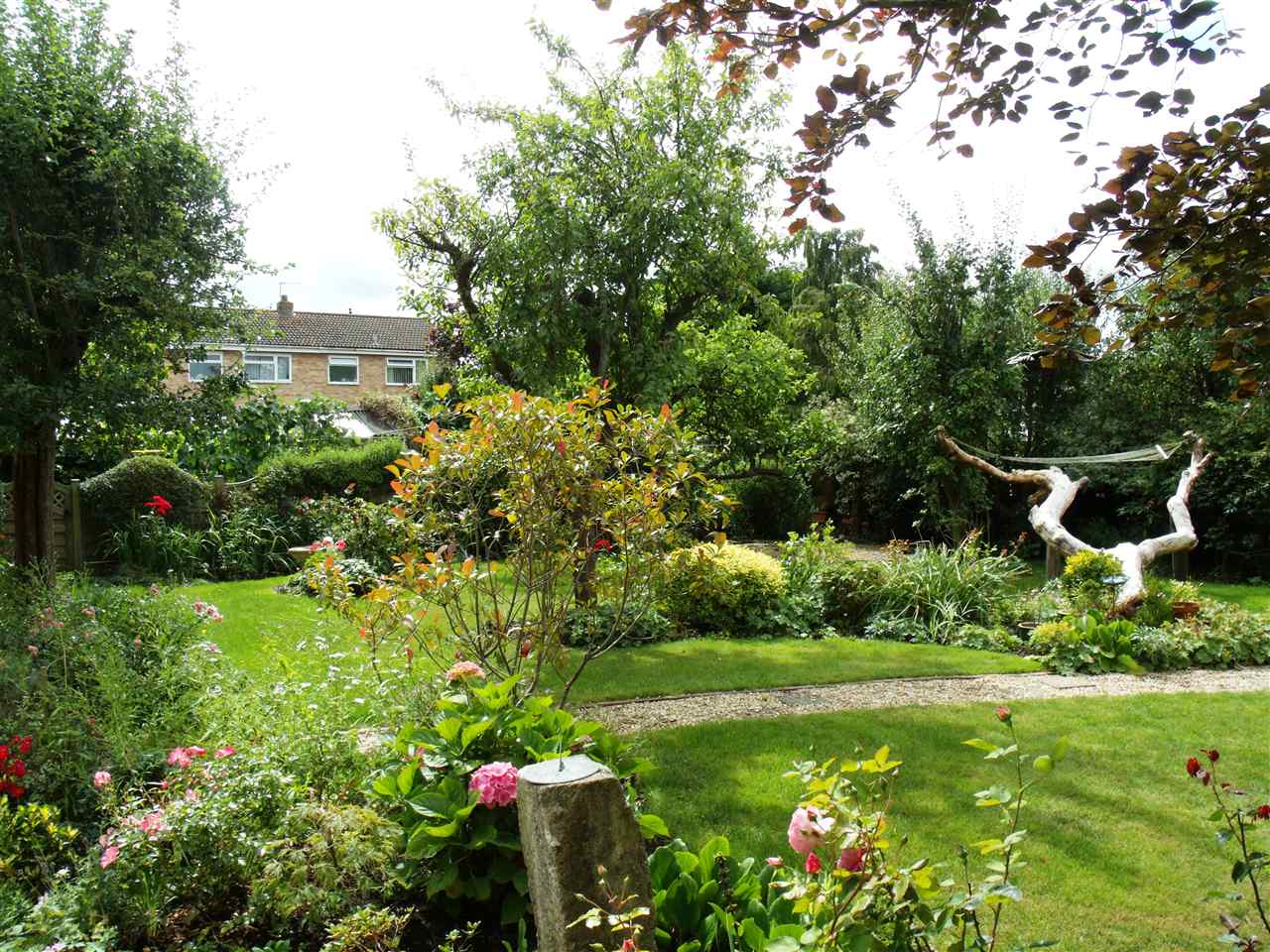 resized-2349823-more gdn.JPG